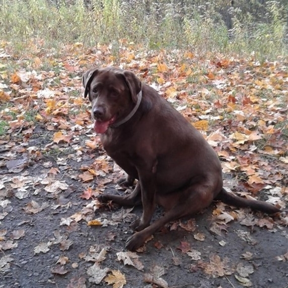 Meet your Posher, Mona - Picture 1 of 1